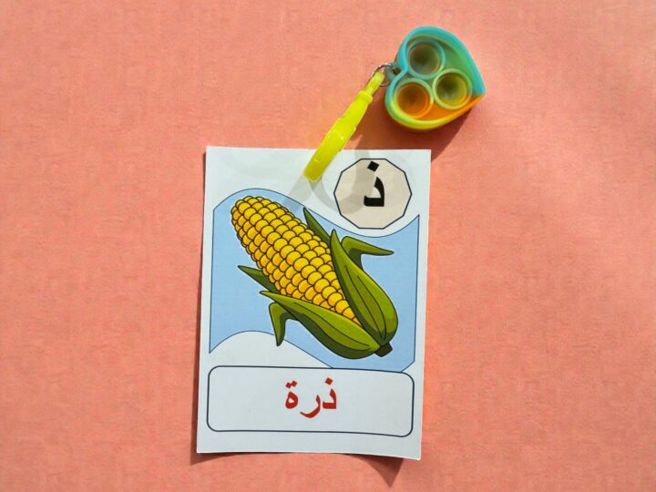 Letter Favor Card + Bubble Keychain 3 Arabic letter Thal favor card with corn illustration and rainbow bubble keychain